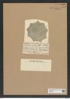Nothoceratium insutum (Castr.) De-Toni (de-Toni-Nr.: Genus 139, Species 3697) Zeichnungen Sammlung Grunow Nr. 7173 (NHMW-BOT-W0376151)